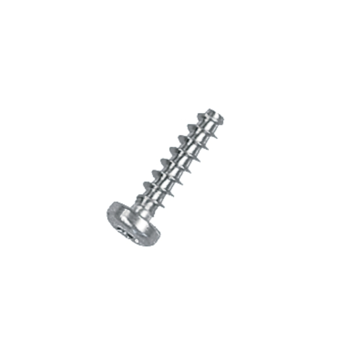 Screw in the group at Motorsågsbutiken (5018760-01)