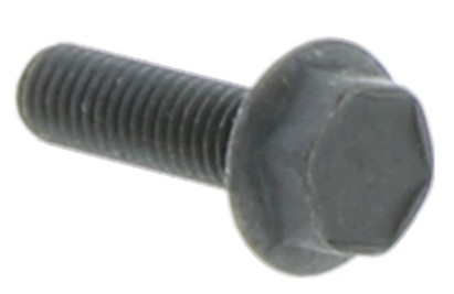 Screw M6Sf 5X18 5032000-21 in the group  at Motorsågsbutiken (5032000-21)