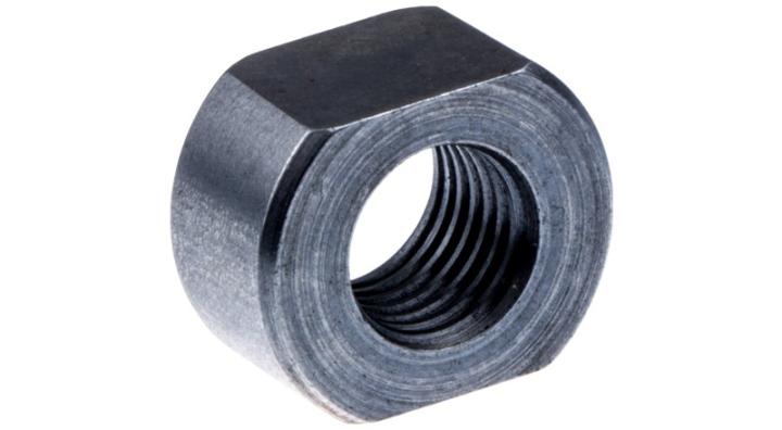 Nut in the group at Motorsågsbutiken (5039820-01)