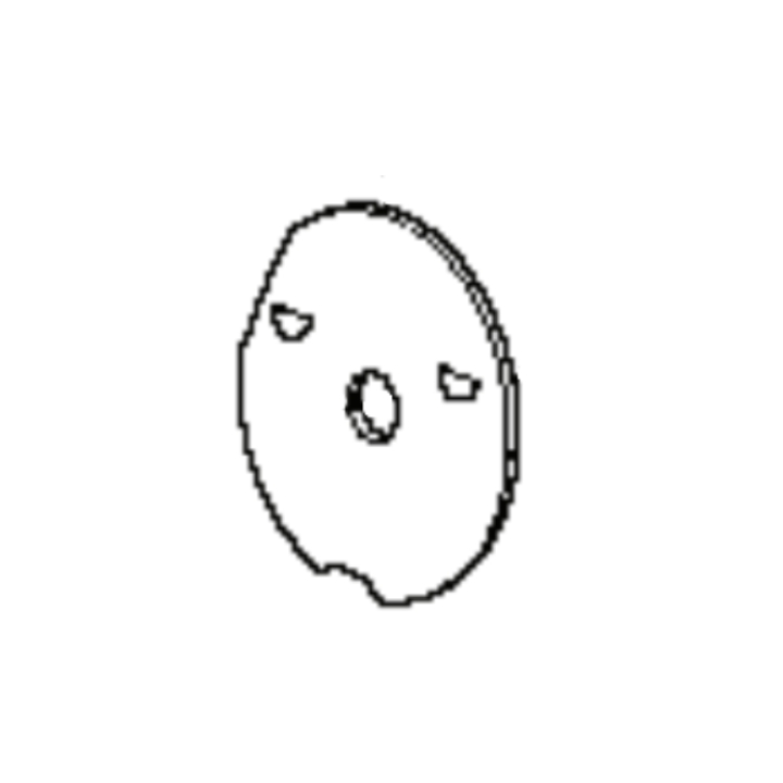 Valve in the group  at Motorsågsbutiken (5041352-01)