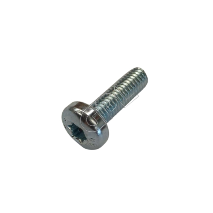 Screw in the group at Motorsågsbutiken (5055577-04)