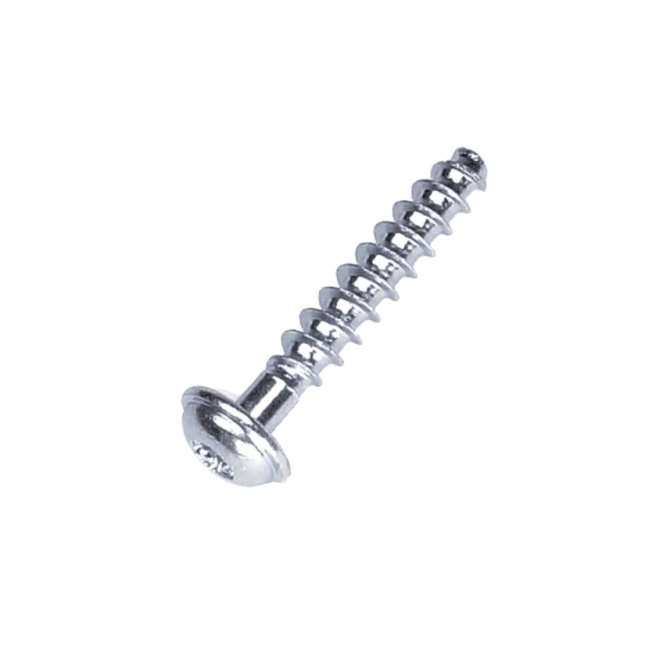 Screw T50X28 5205247-01 in the group at Motorsågsbutiken (5205247-01)