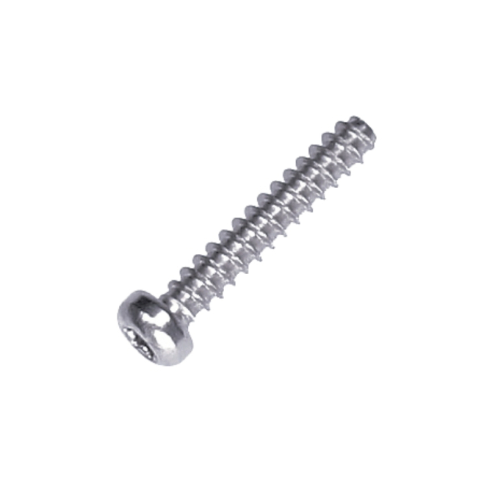 Screw 5244312-01 in the group at Motorsågsbutiken (5244312-01)