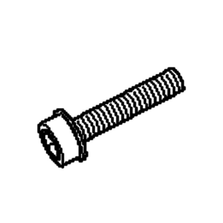 Screw M5*27 T27 5257552-04 in the group  at Motorsågsbutiken (5257552-04)