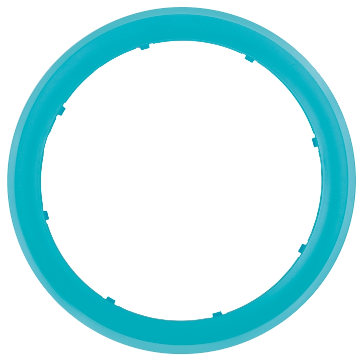 Ring outside turquoise in the group at Motorsågsbutiken (5298883-01)