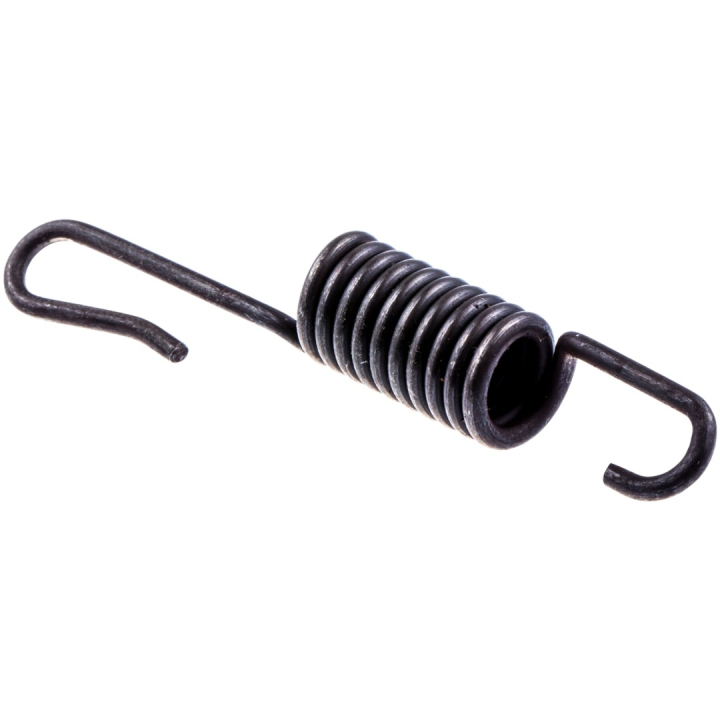 Spring in the group  at Motorsågsbutiken (5300420-88)