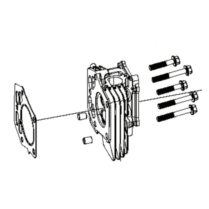 Cylinder Head Kit in the group at Motorsågsbutiken (5311469-91)
