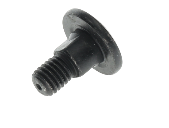 Screw in the group at Motorsågsbutiken (5312403-01)