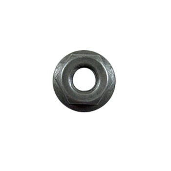 Nut in the group at Motorsågsbutiken (5321843-62)