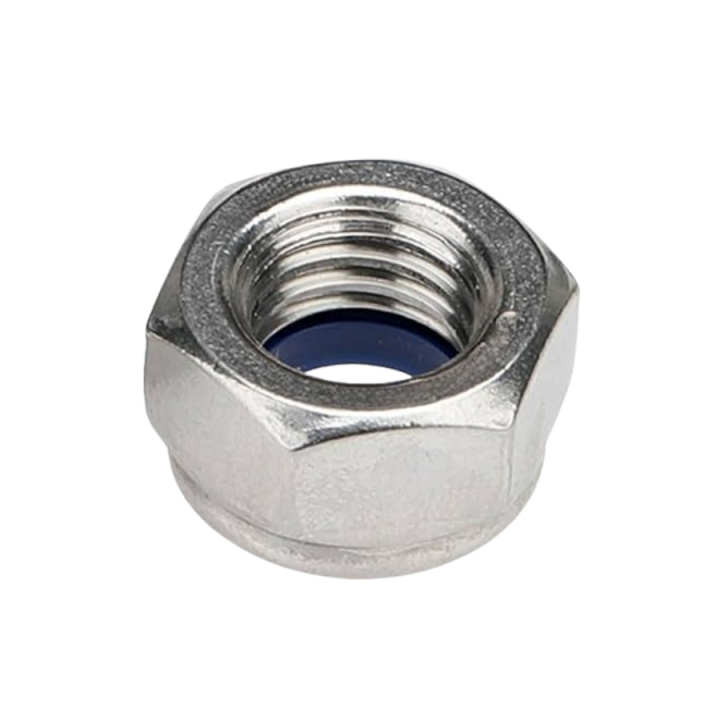 Nut in the group at Motorsågsbutiken (5354149-80)