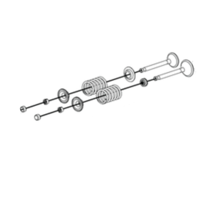 Valve kit in the group at Motorsågsbutiken (5401749-01)