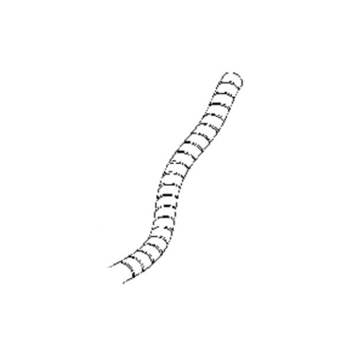 Hose protection in the group  at Motorsågsbutiken (5440266-07)