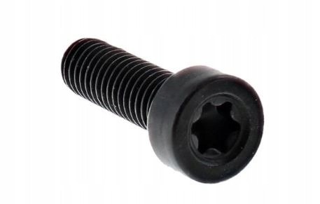Screw Itxscm in the group  at Motorsågsbutiken (5442184-30)
