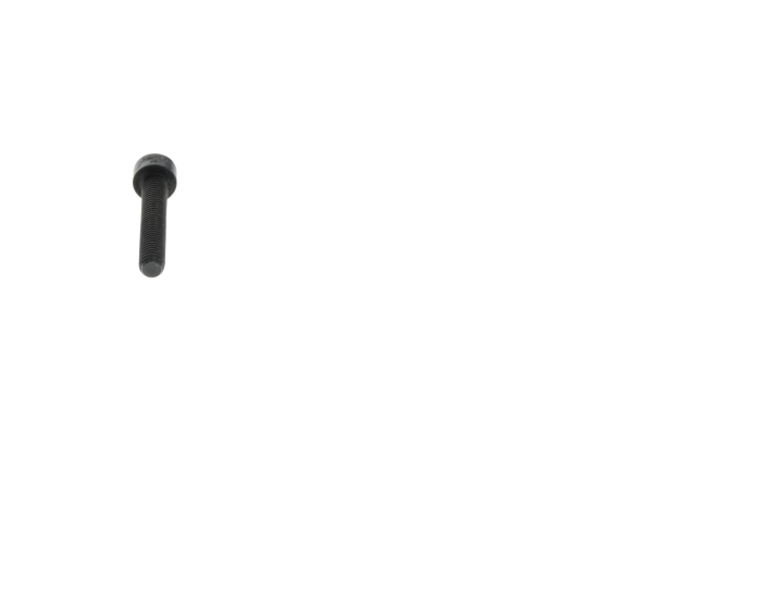 Screw m5x30 in the group at Motorsågsbutiken (5474473-01)