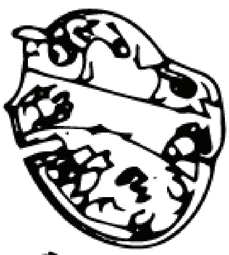 Switchbox Lower (Euro 5746268-01 in the group  at Motorsågsbutiken (5746268-01)