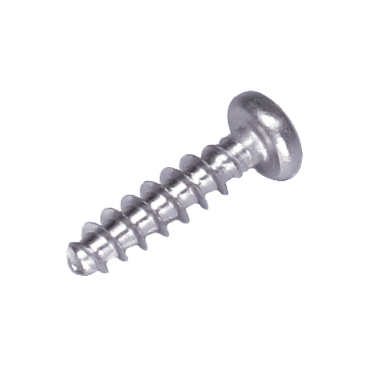 Screw in the group at Motorsågsbutiken (5784713-01)