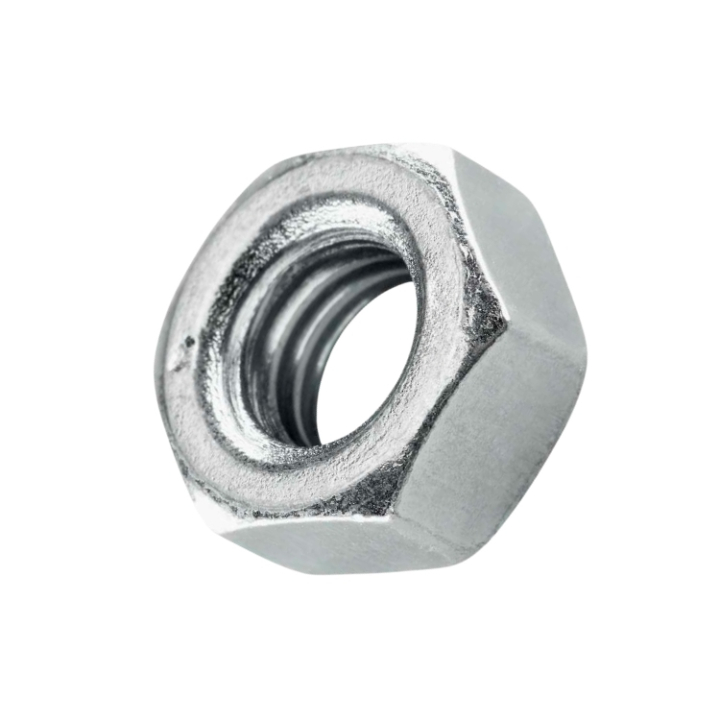 Nut in the group  at Motorsågsbutiken (5787893-01)