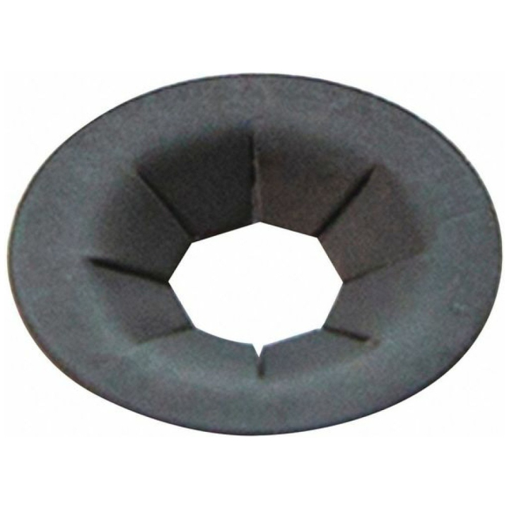 Nut in the group at Motorsågsbutiken (5833430-01)