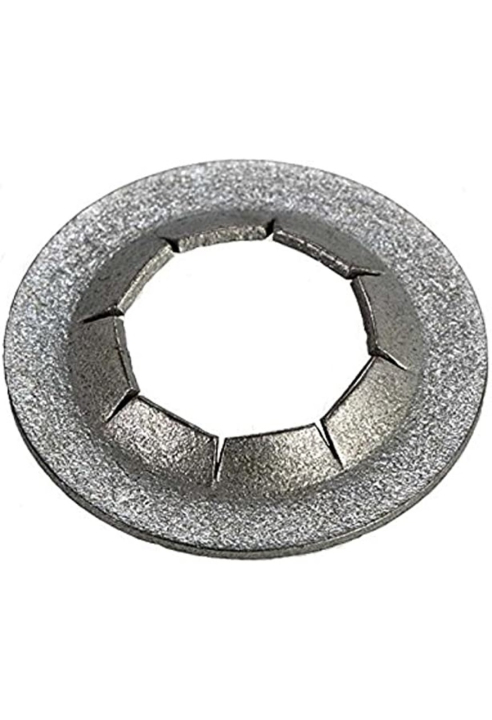 Nut in the group at Motorsågsbutiken (5842877-01)