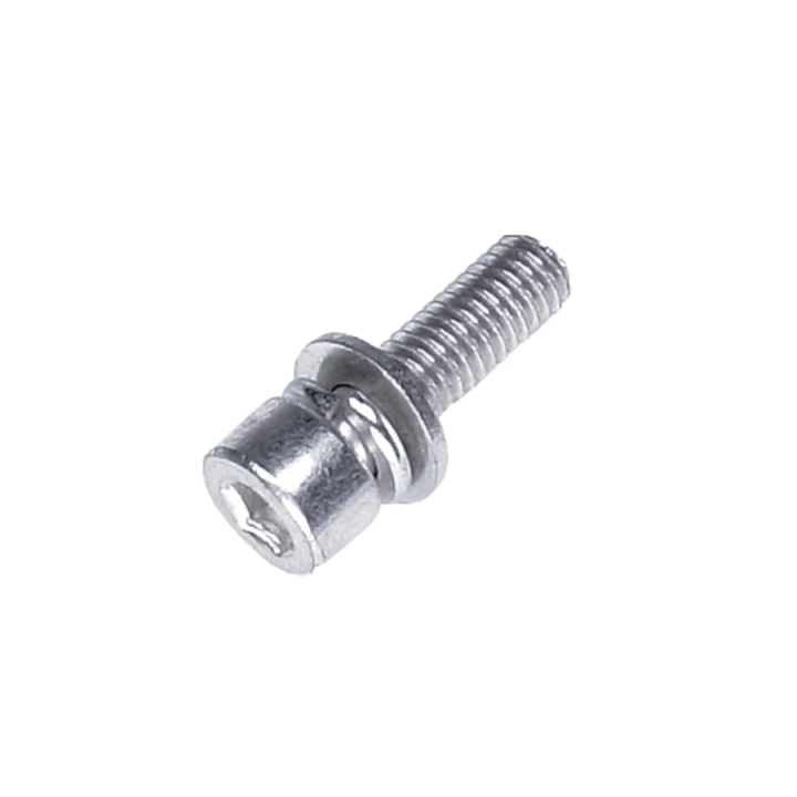 Screw M5X12 in the group  at Motorsågsbutiken (5866409-01)