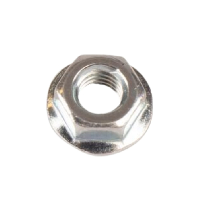 Nut in the group at Motorsågsbutiken (5880070-01)