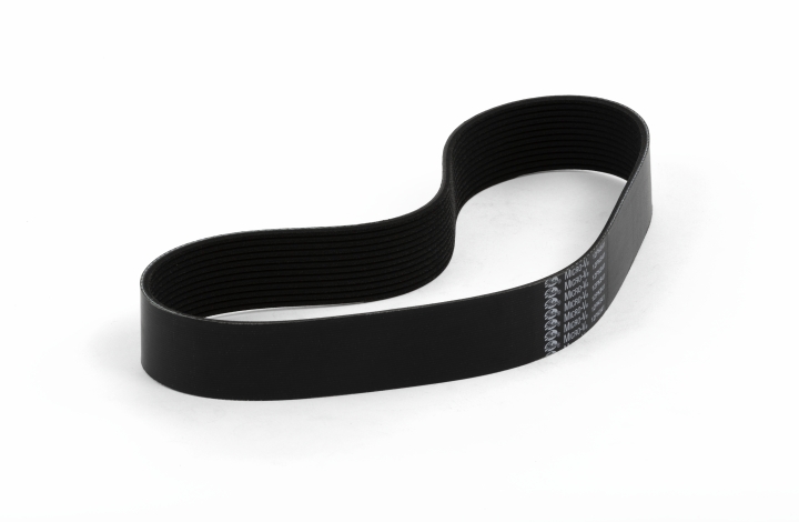 Belt in the group at Motorsågsbutiken (5887686-01)