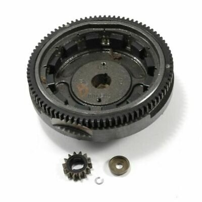 Flywheel in the group  at Motorsågsbutiken (591759)