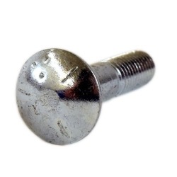 Bolt Cup Head Square Neck 1/4- in the group at Motorsågsbutiken (5949766-01)