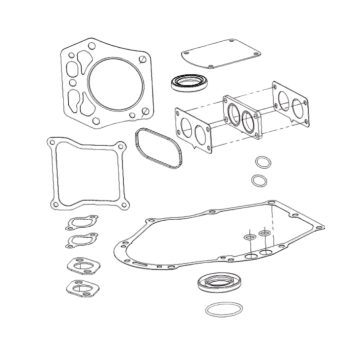 Gasket Kit in the group  at Motorsågsbutiken (5985994-01)