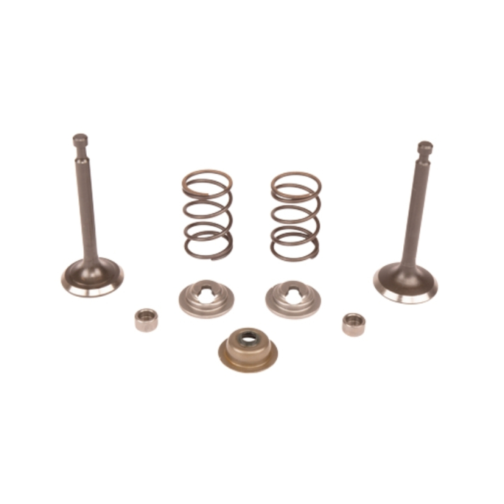 Valve kit in the group at Motorsågsbutiken (5993492-45)