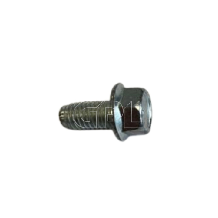 Screw in the group  at Motorsågsbutiken (7252449-61)