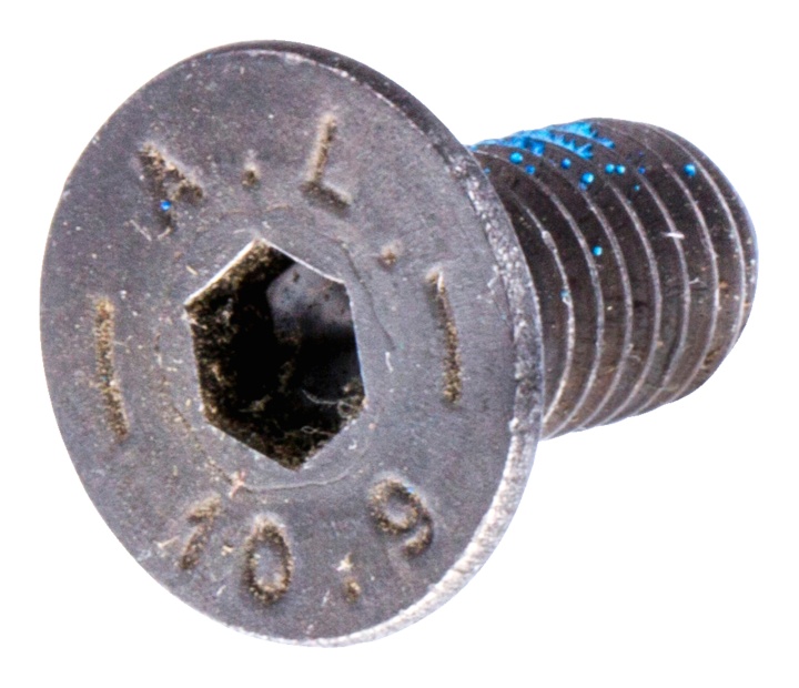 Screw in the group  at Motorsågsbutiken (7256449-56)