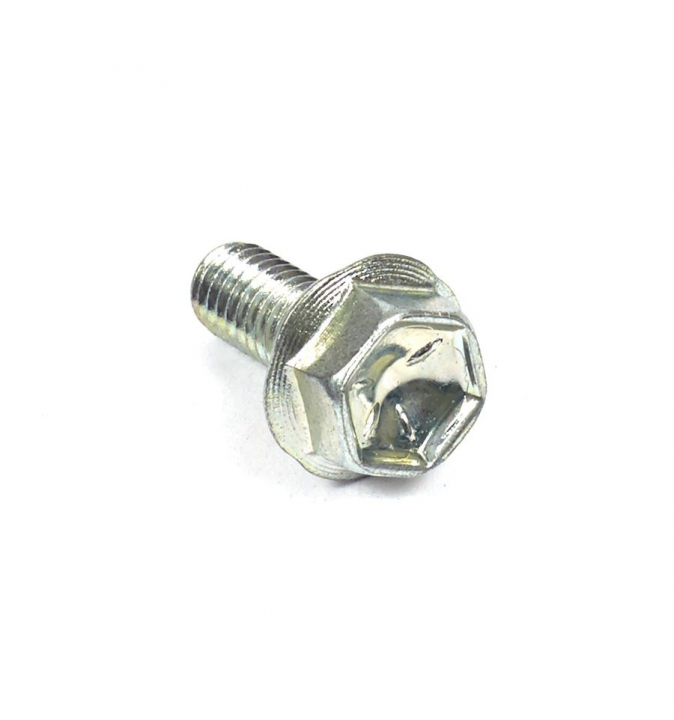 Screw in the group  at Motorsågsbutiken (807084)