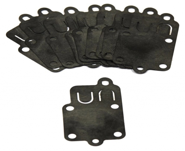 Diaphragm (10 X 270026)