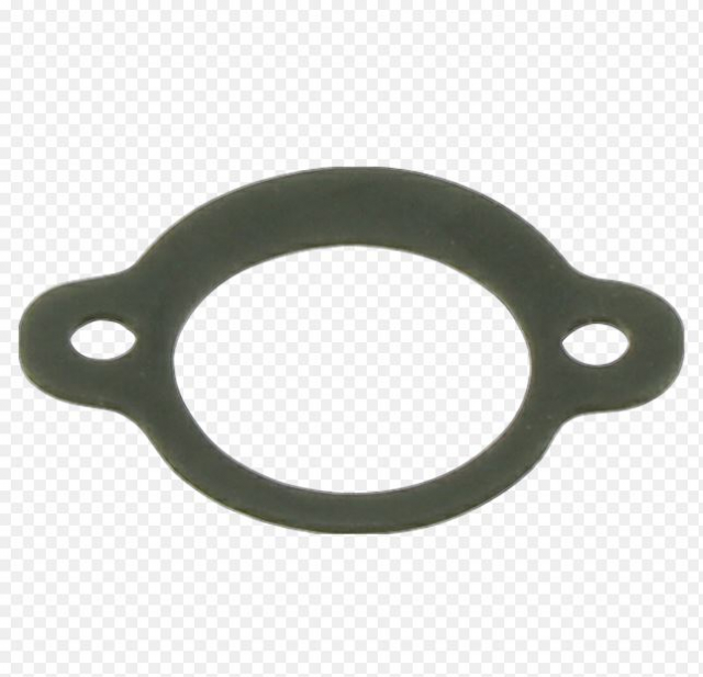 Gasket Air Filter 5018156-01