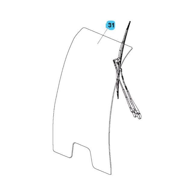 Windshield 5019554-01