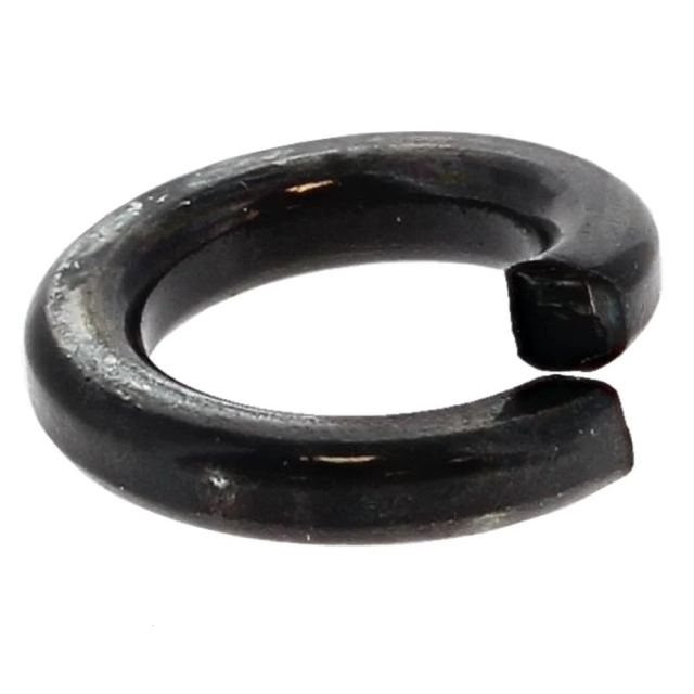 Spring Washer 5024342-01