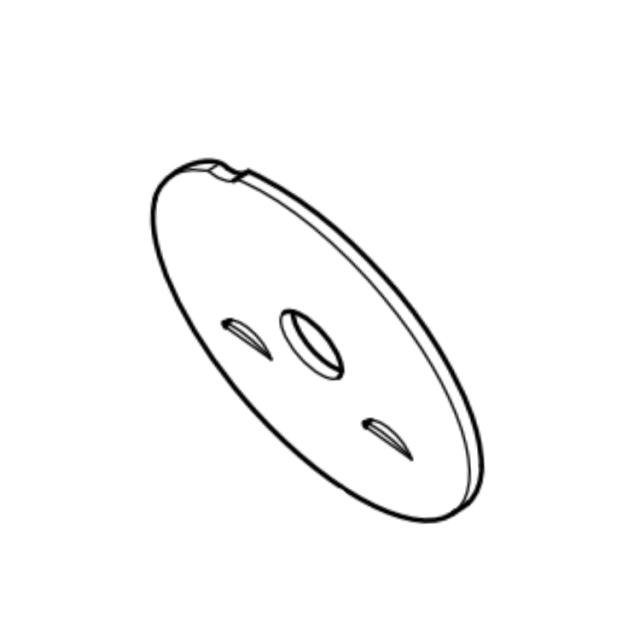 Throttle Disc 5031168-01