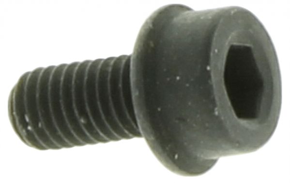 Screw M5X10 5032007-10