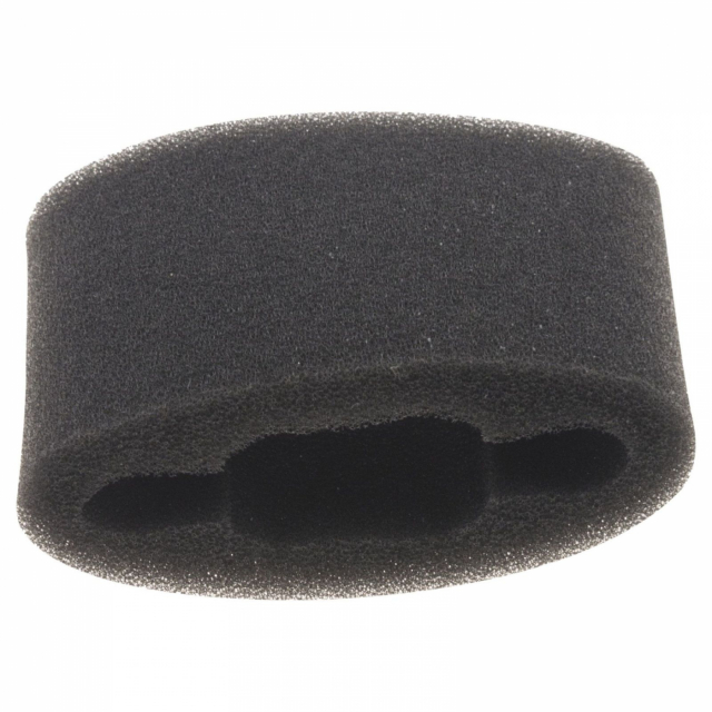 Air Filter 5038449-01