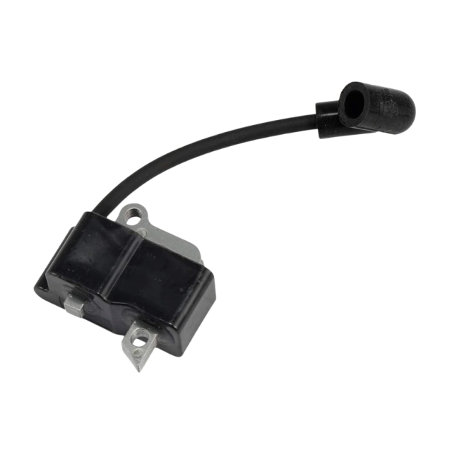 Ignition module