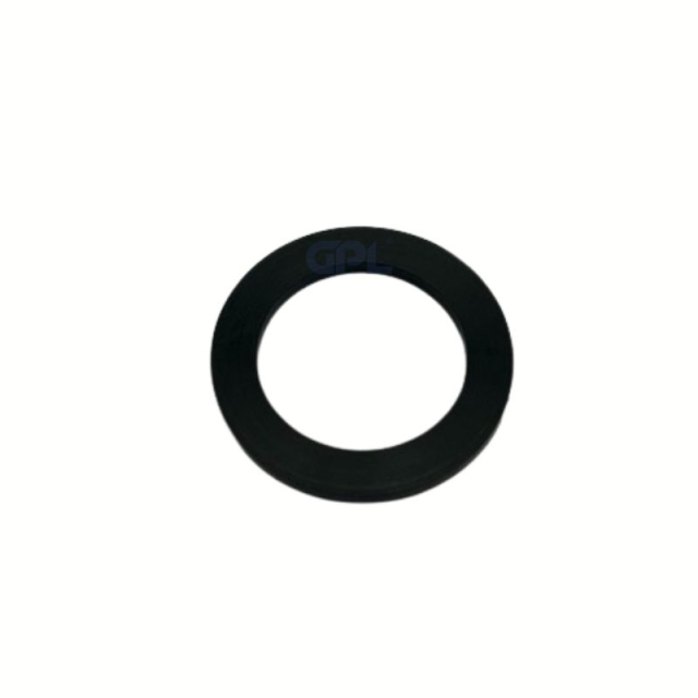 Gasket 5050461-01