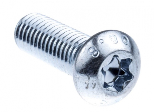 Screw 5055246-01