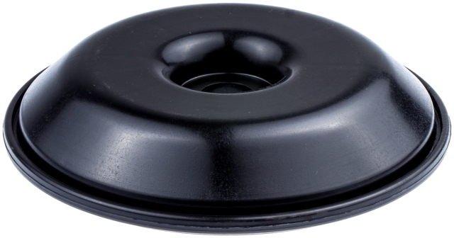 Support plate 5080151-09