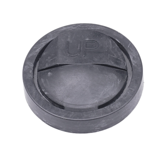 Check valve