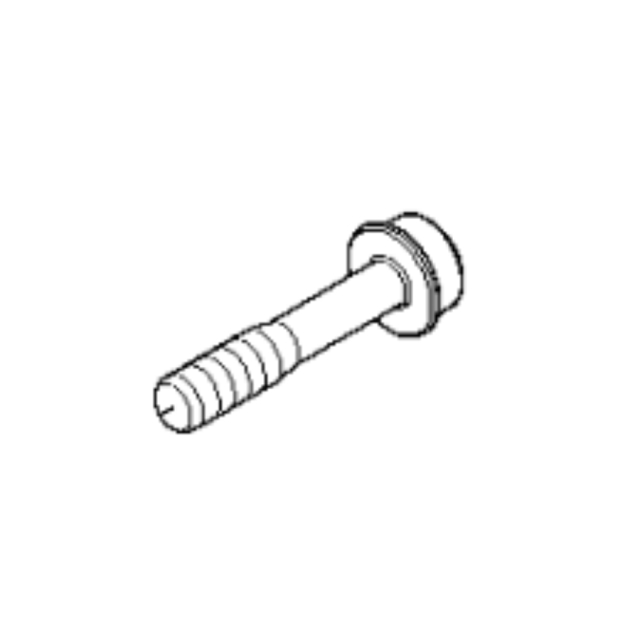 Screw