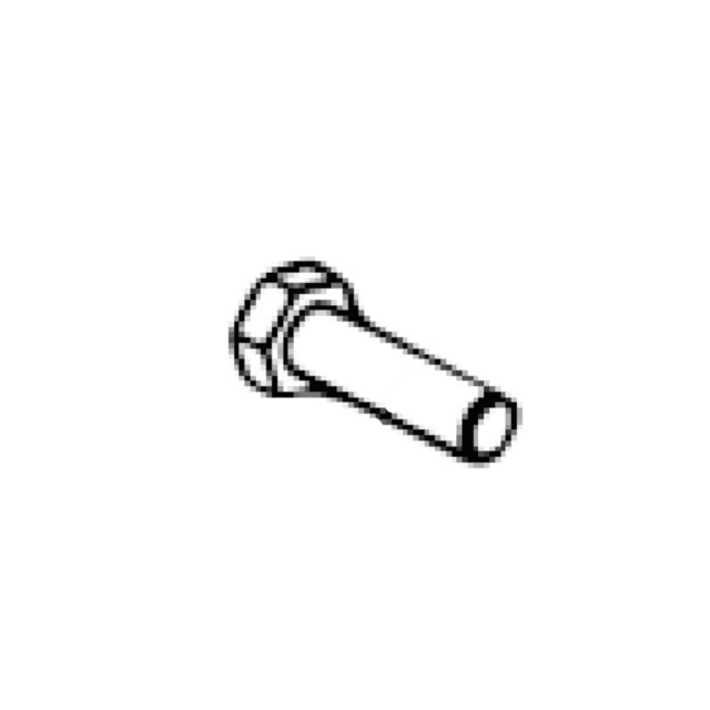 Screw 5196534-55