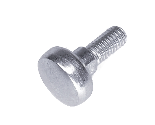 Screw