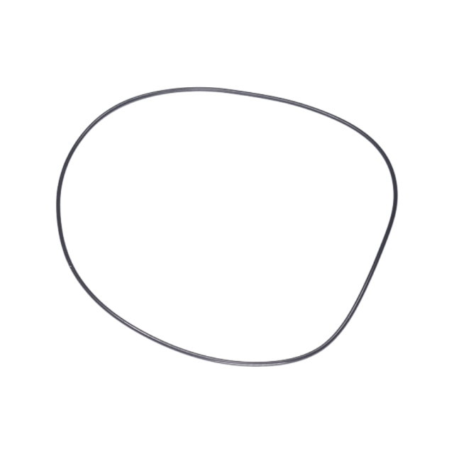 O-ring