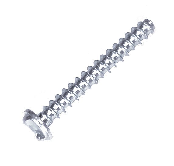 Tri-wing screw K50X35-Vz